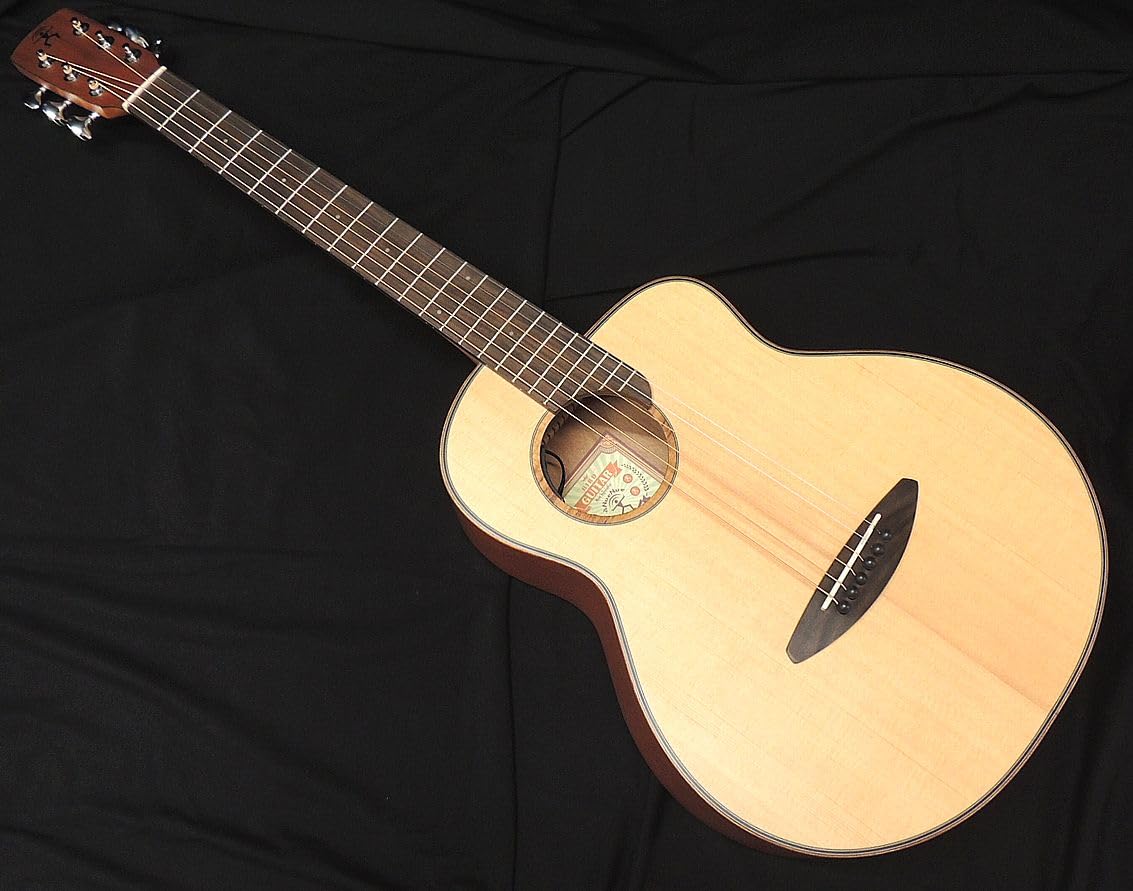 aNueNue Bird Guitar aNN-M10E エレアコ Amazon | アコースティックギター アヌエヌエ バードギター